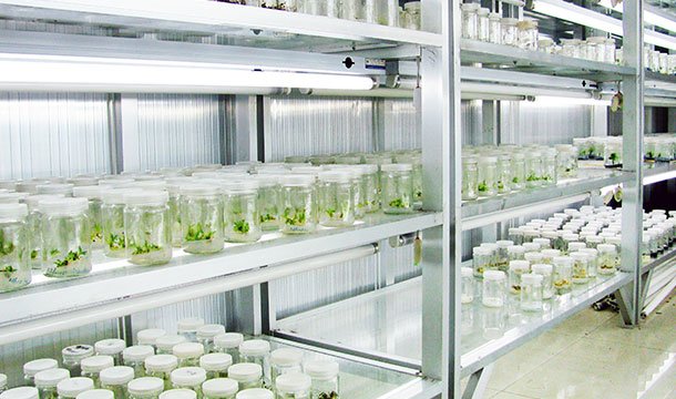 技術(shù)研發(fā)